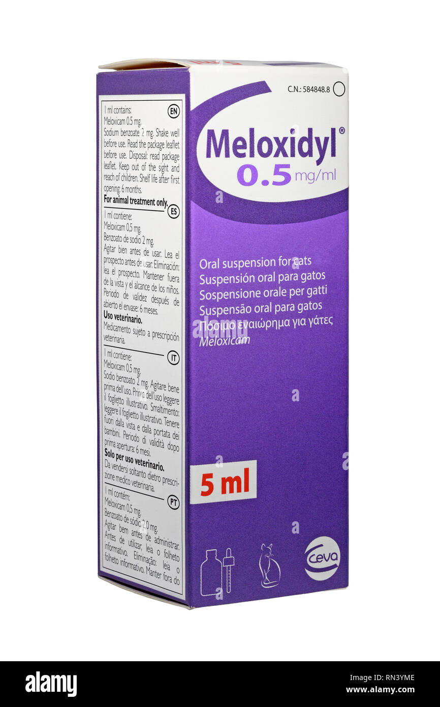 Meloxidyll 0.5mg/ml suspension orale pour le soulagement de la douleur post-opératoire pour les chats. Banque D'Images