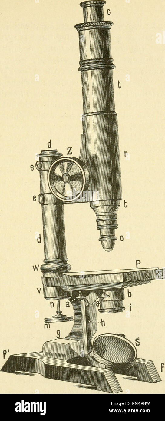 . Anleitung zum Sammeln der Kryptogamen. . L'^est : 1.. Veuillez noter que ces images sont extraites de la page numérisée des images qui peuvent avoir été retouchées numériquement pour plus de lisibilité - coloration et l'aspect de ces illustrations ne peut pas parfaitement ressembler à l'œuvre originale.. Sydow, P. (Paul), 1851-1925. Stuttgart : J. Hoffmann Banque D'Images