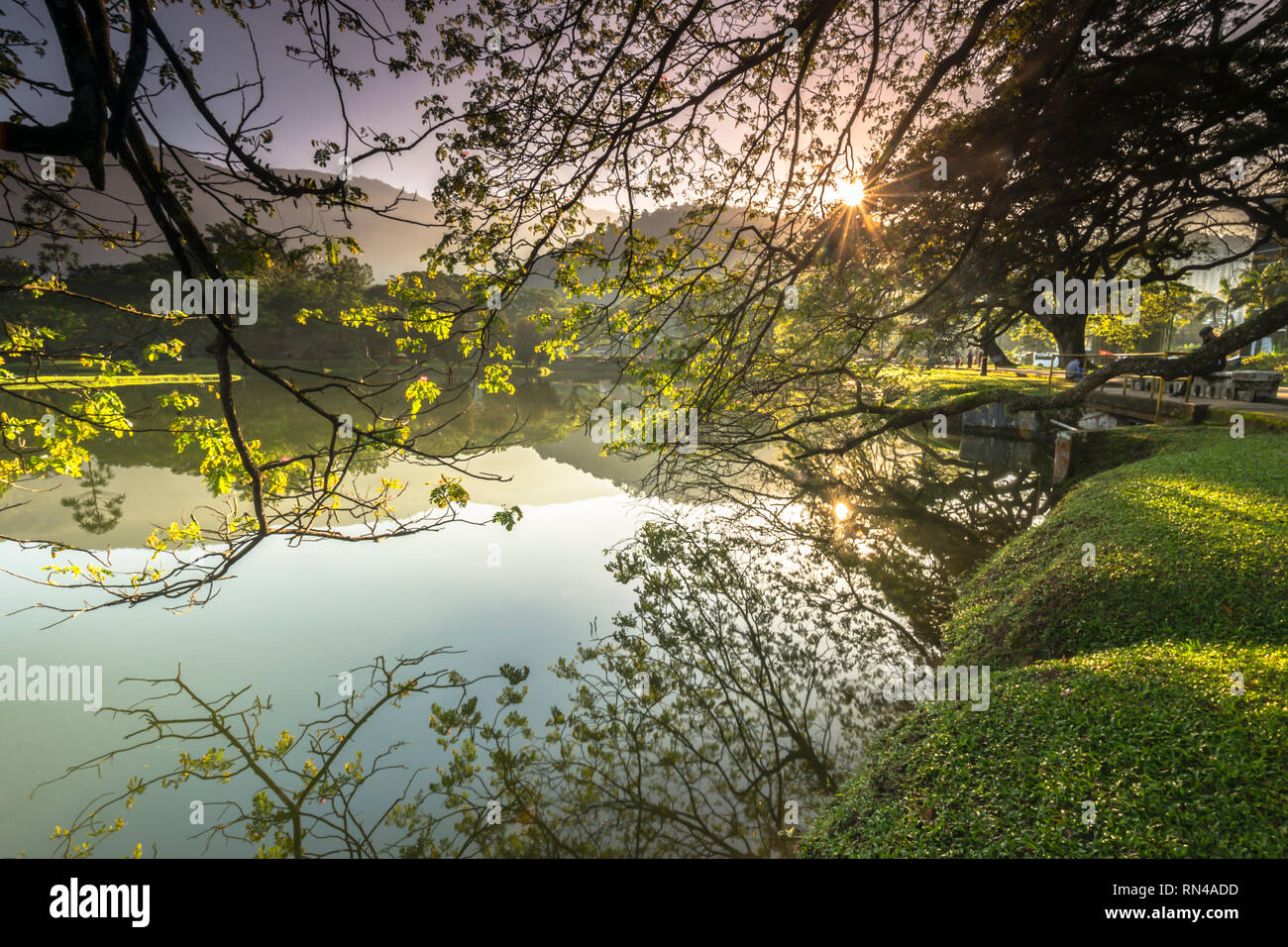 Patrimoine Taiping Lake Garden Banque D'Images