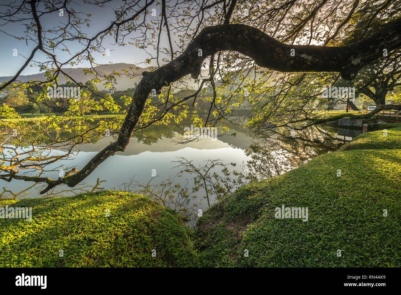 Patrimoine Taiping Lake Garden Banque D'Images