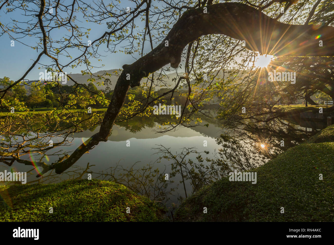 Patrimoine Taiping Lake Garden Banque D'Images