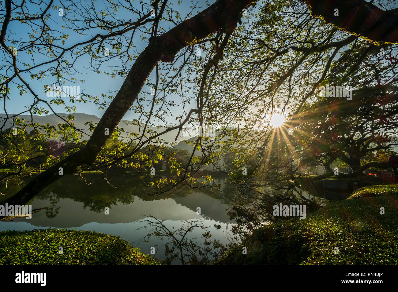 Patrimoine Taiping Lake Garden Banque D'Images