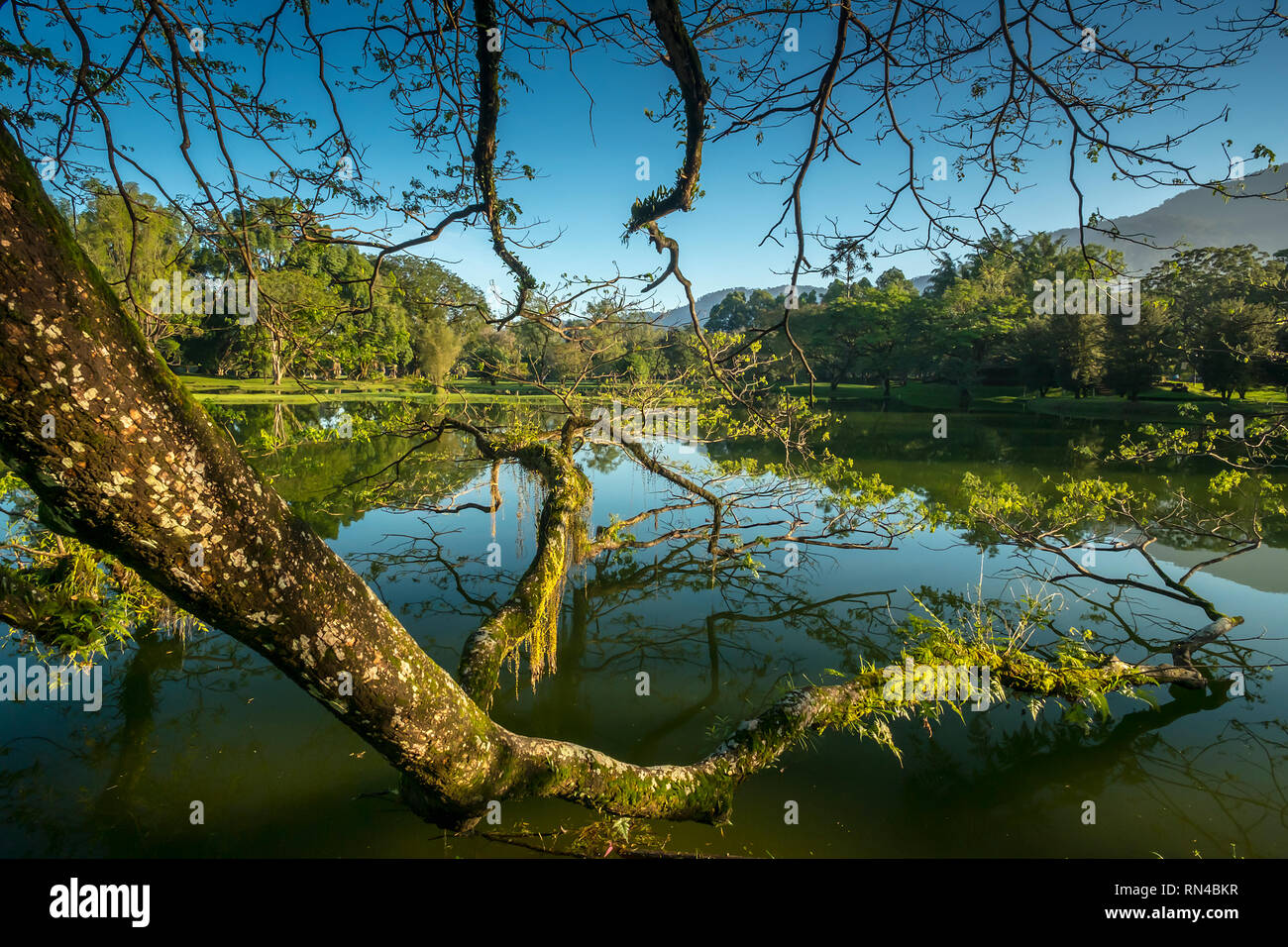 Patrimoine Taiping Lake Garden Banque D'Images