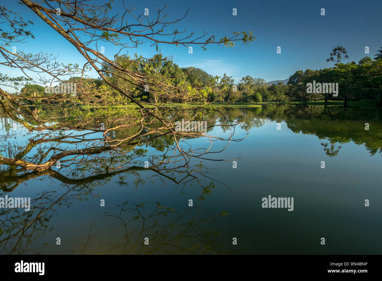 Patrimoine Taiping Lake Garden Banque D'Images