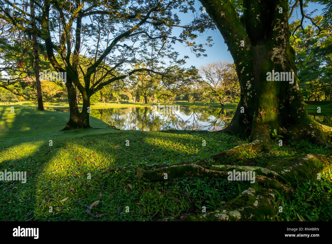 Patrimoine Taiping Lake Garden Banque D'Images