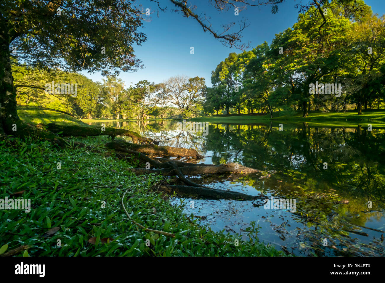 Patrimoine Taiping Lake Garden Banque D'Images