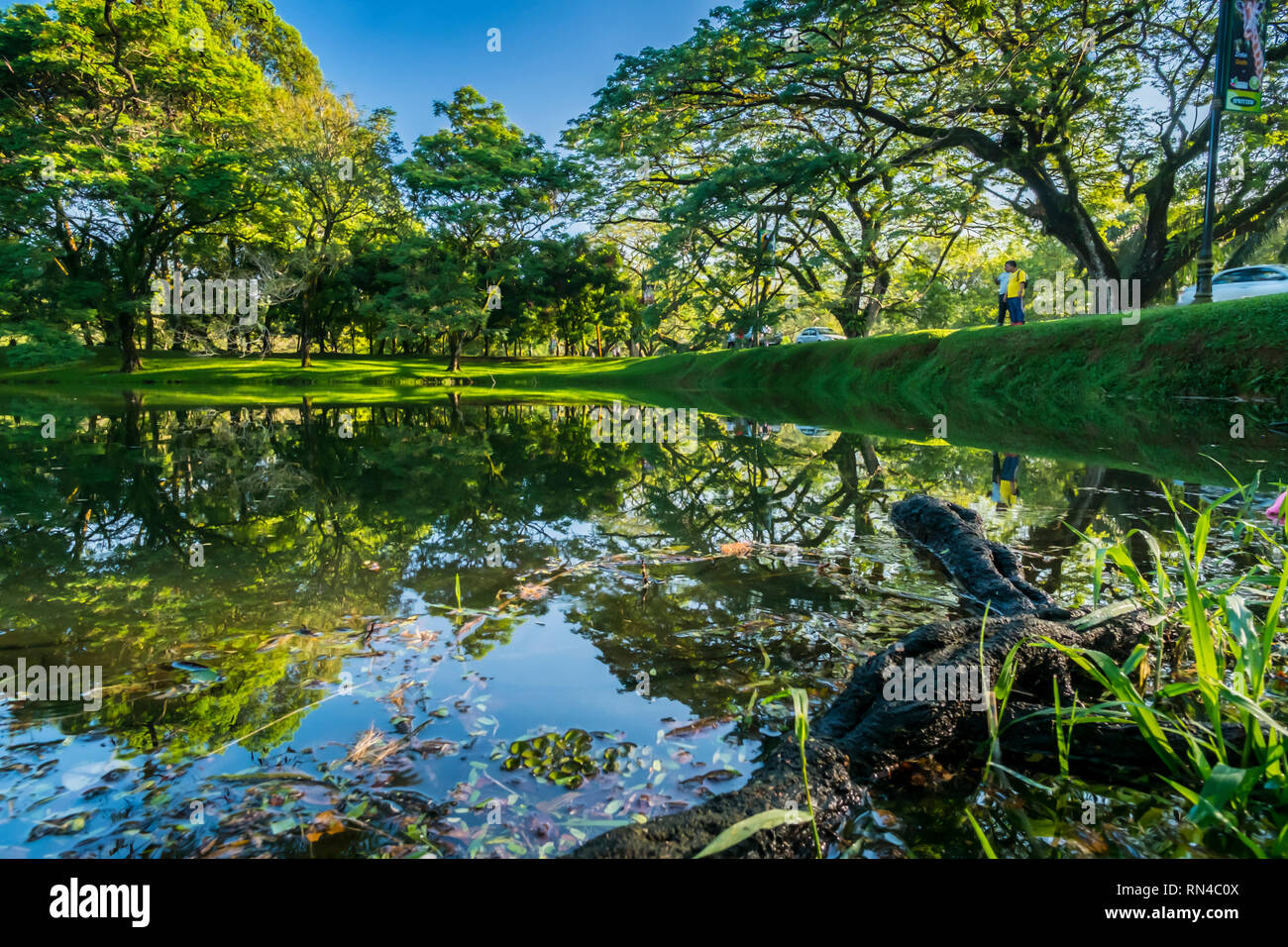 Patrimoine Taiping Lake Garden Banque D'Images