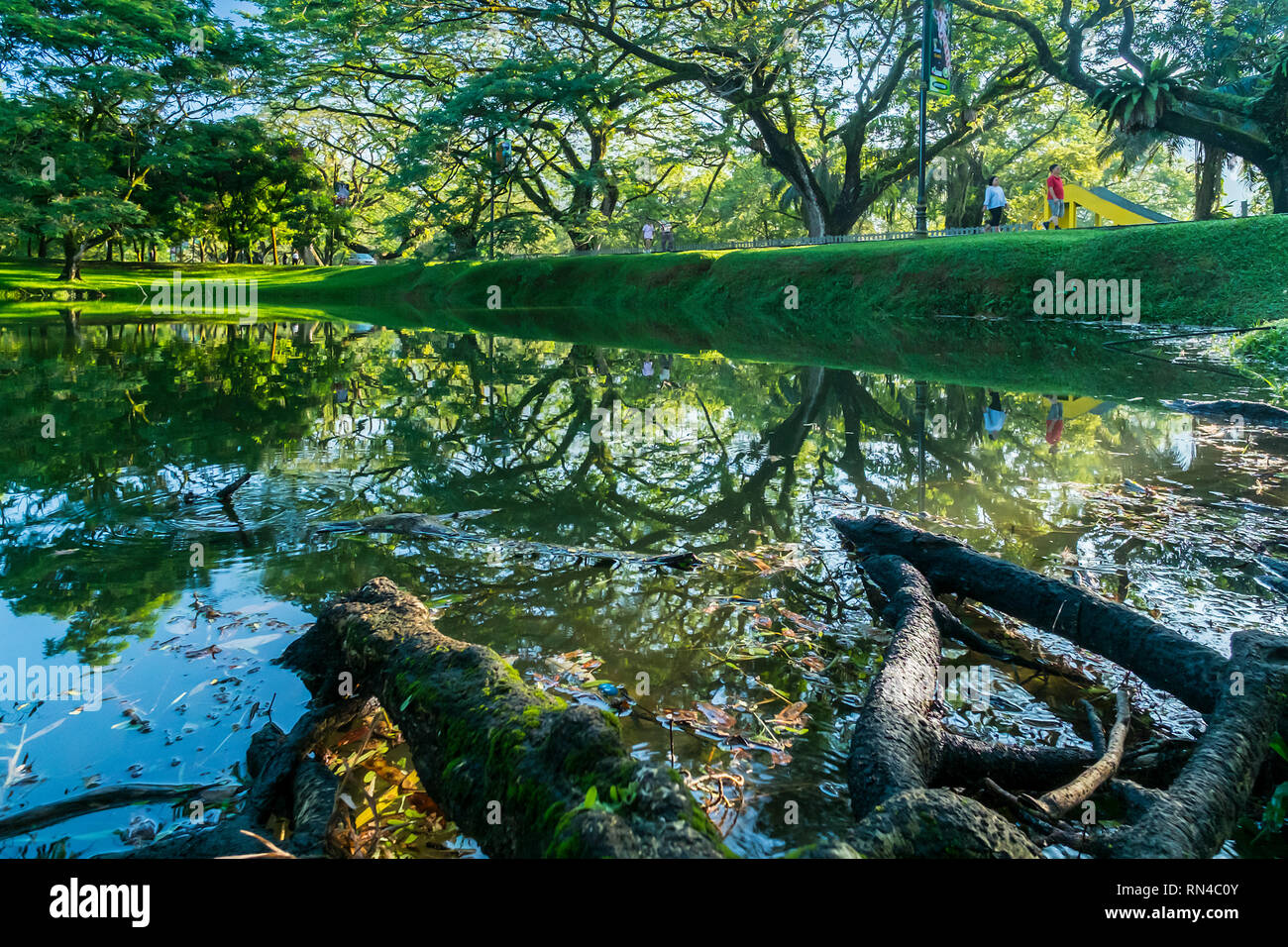 Patrimoine Taiping Lake Garden Banque D'Images