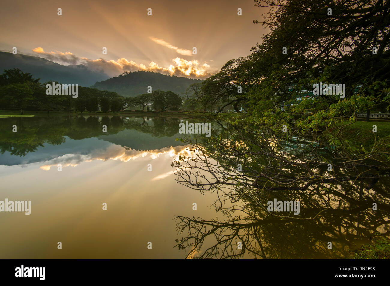 Patrimoine Taiping Lake Garden Banque D'Images