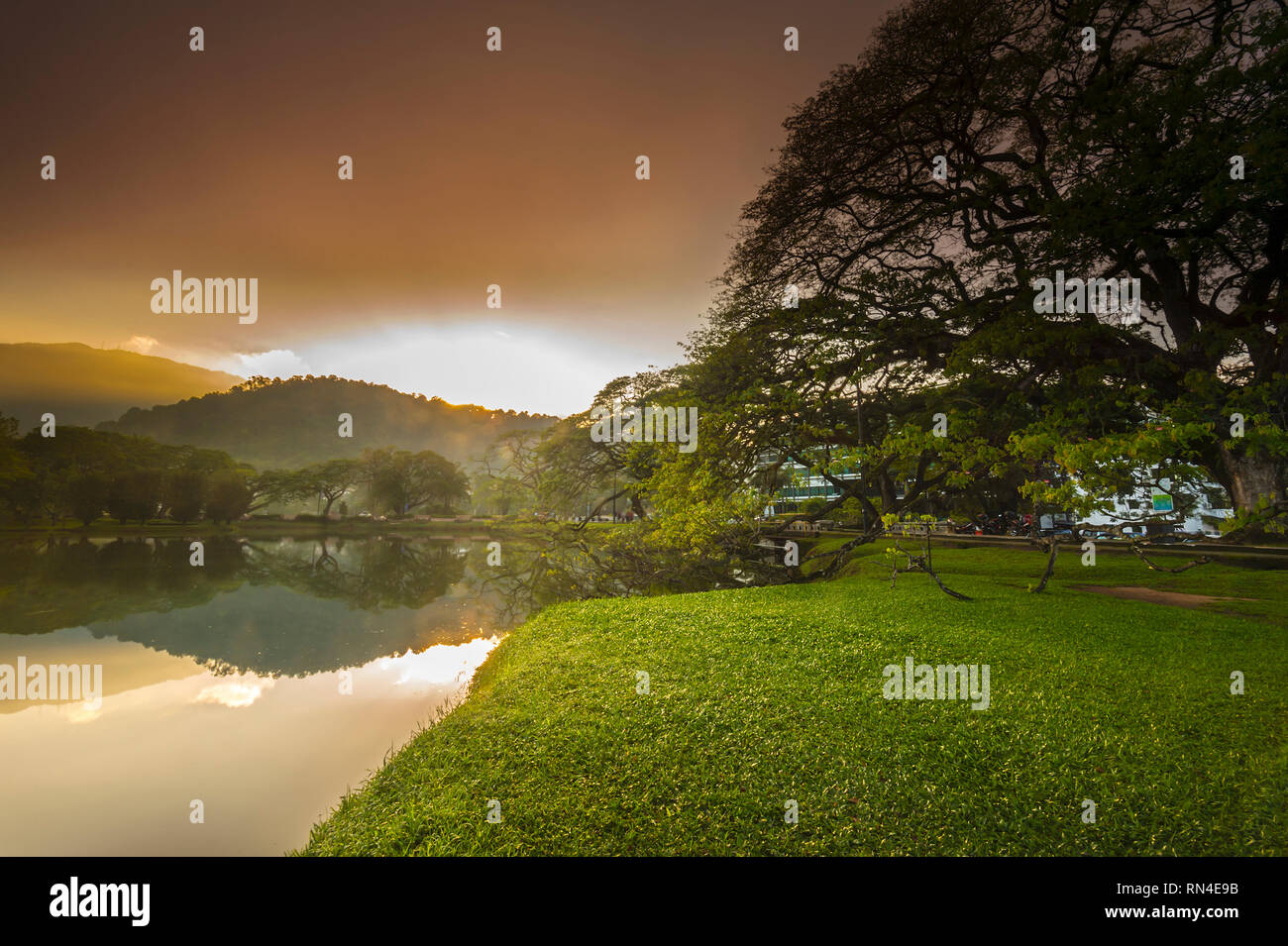 Le lac Taiping au lever du soleil, le jardin Banque D'Images