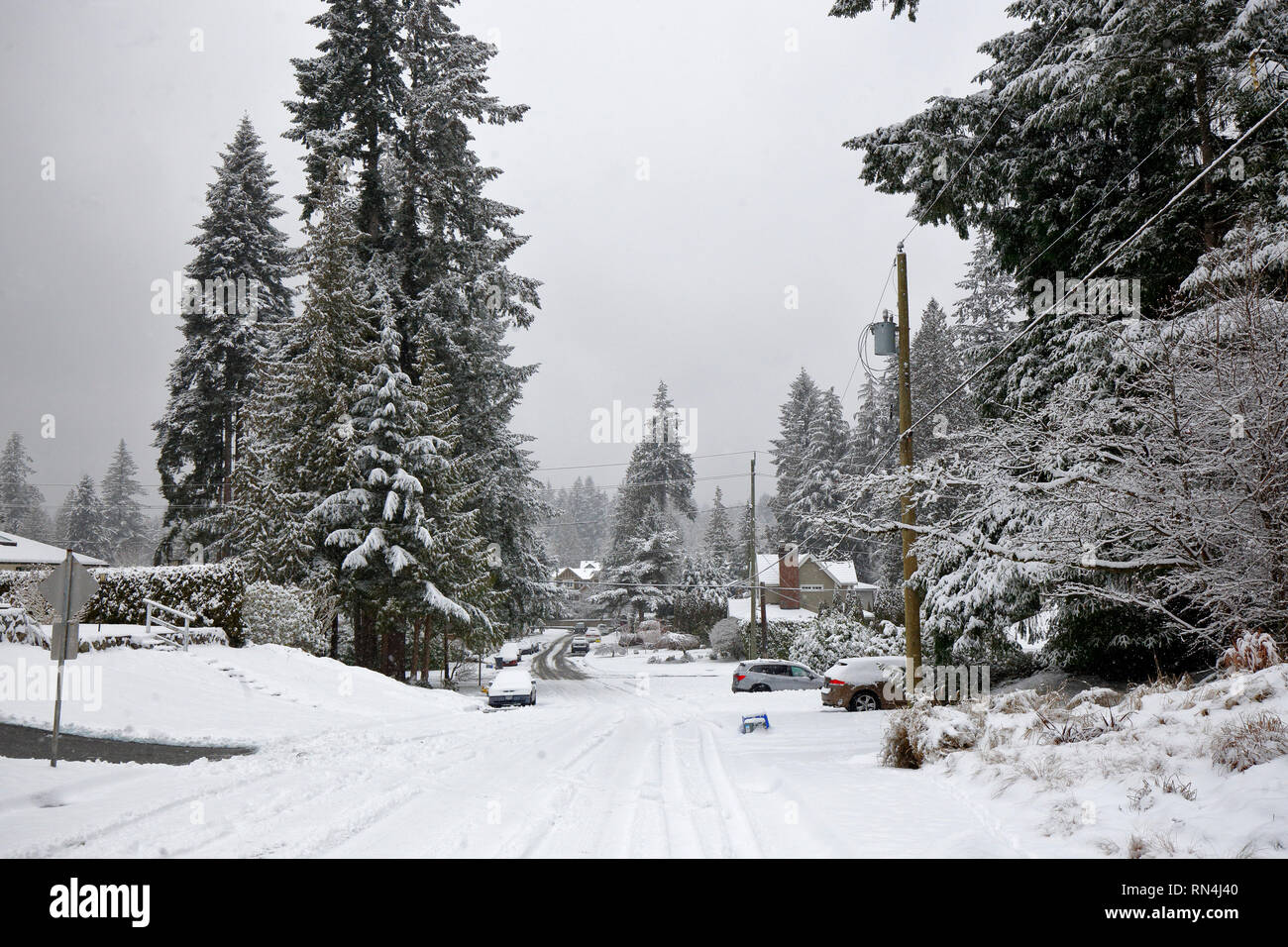 Rue Cortell à Pemberton Heights, Vancouver, Colombie-Britannique, Canada Banque D'Images