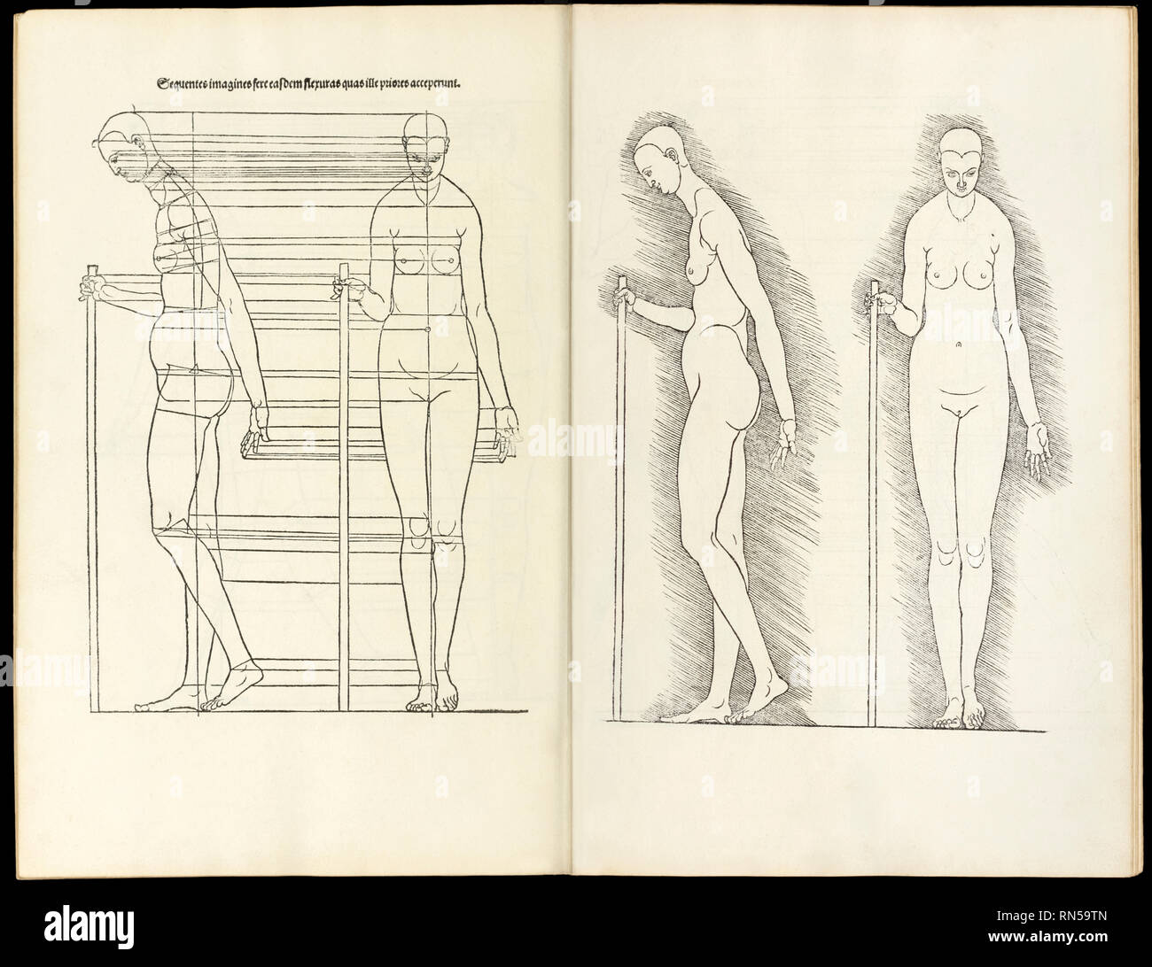 Avec le personnel féminin, gravure sur bois de 'Hierinn anatomiques begriffen sind vier bücher von menschlicher Proportion' par Albrecht Durer (1471-1528) un travail au sujet de la proportion du corps humain d'abord publié en 1528. Banque D'Images