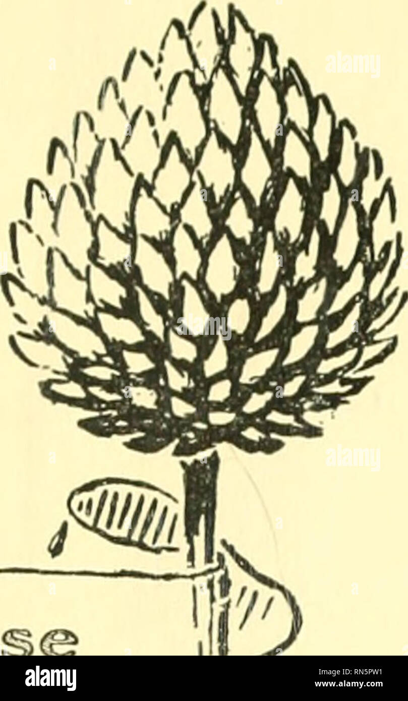 Love Cats Kittens Kitty Lol Cute Pets Shelter Cats