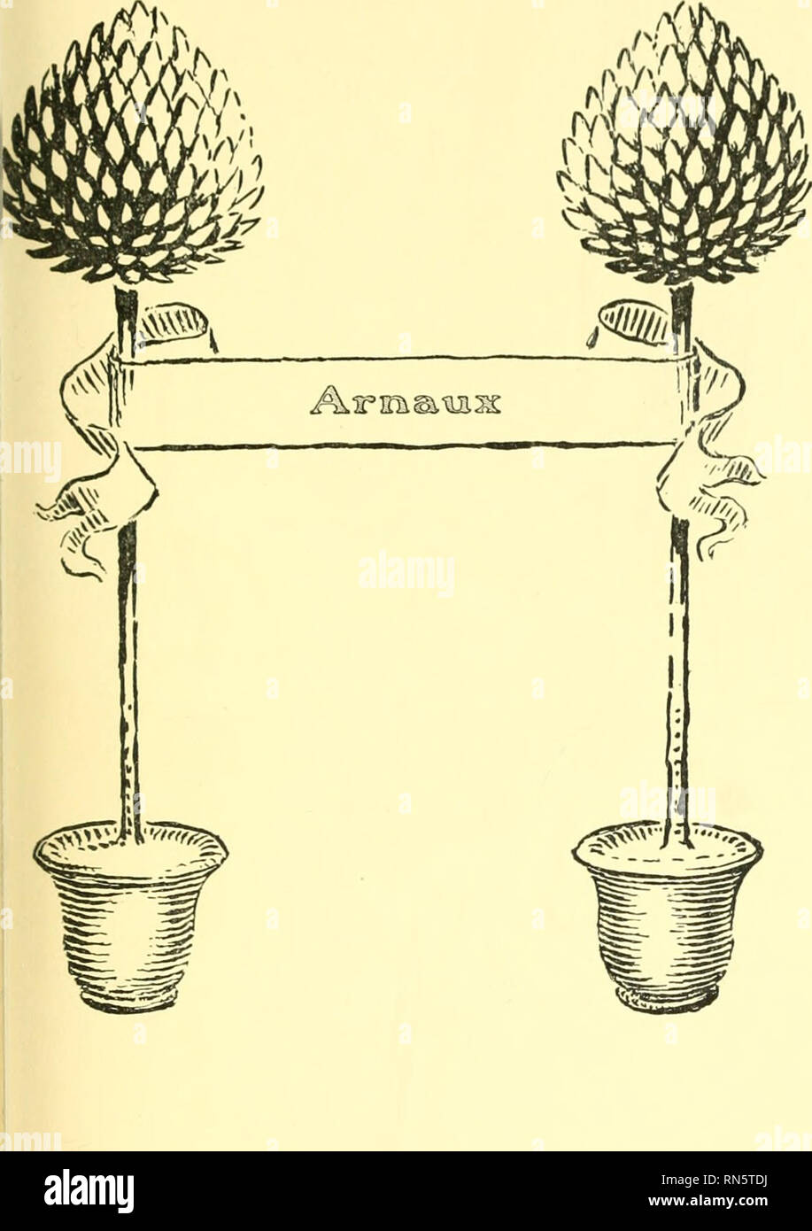 Héros Des Animaux être Lhistoire Dun Chat Un Chien Un