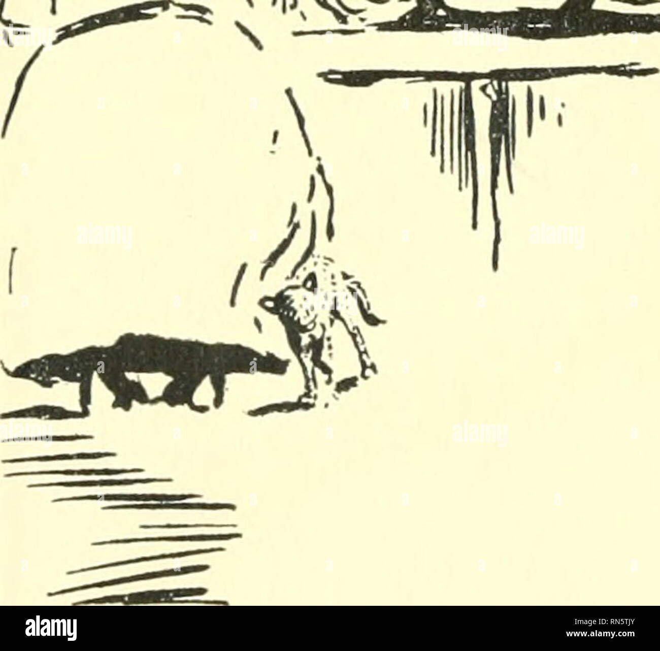 . Héros des animaux ; être l'histoire d'un chat, un chien, un pigeon, un lynx, deux loups &AMP ; un renne et dans l'élucidation de la même plus de 200 dessins. Les animaux, légendes et histoires de. Le Slum Cat Vi jlr(&gt;oUj^ ^^f. a été un désert sans vie, de l'insectifuge dégoûtant gar- dens et hay-champs, sans qu'un seul immeuble ou dégagées par les cheminées en vue. Comment elle n'a pas tout ! Il n'y avait qu'un arbuste à l'odeur douce dans l'ensemble de l'horrible endroit, et c'était dans un coin négligé. Elle n'apprécier que l'étouffer et de matériel roulant dans les feuilles ; c'était un point lumineux dans les motifs ; mais le seul, pour qu'elle n'avait pas fo Banque D'Images