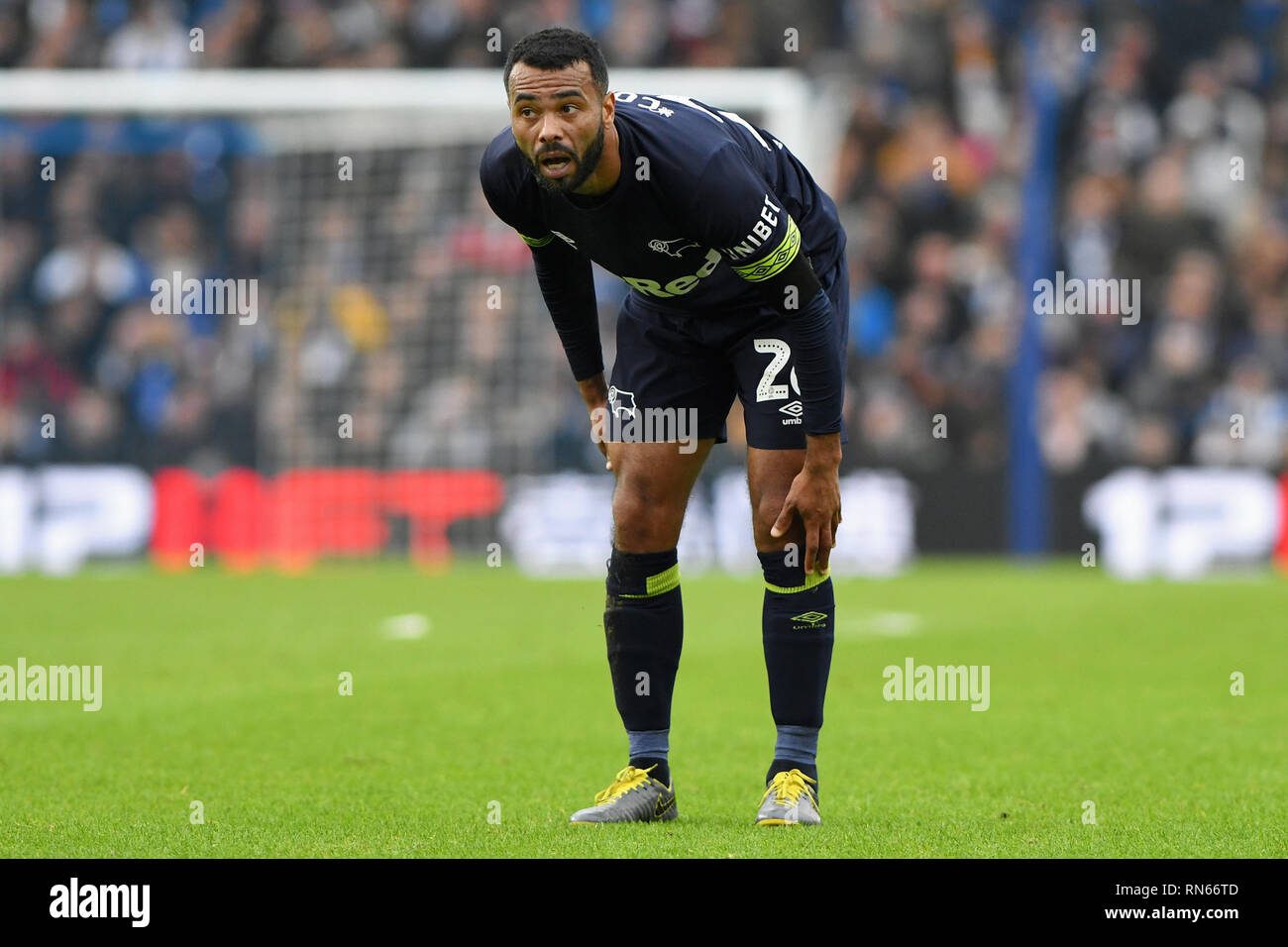 Brighton, UK. 16 Février, 2019. Ashley Cole de Derby County - Brighton & Hove Albion v Derby County, l'Unis FA Cup - cinquième ronde, stade de l'Amex, Brighton - 16 février 2019 Editorial - N'utilisez que des restrictions s'appliquent : Crédit DataCo Images Journée Limited/Alamy Live News Banque D'Images