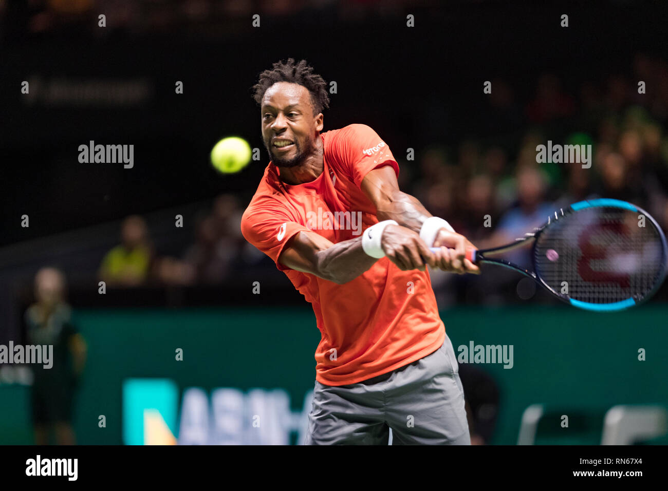 Rotterdam, Pays-Bas. Feb 17, 2019. ABNAMRO World Tennis Tournament, Ahoy, Final, GAEL MONFILS (FRA), Crédit : Henk Koster/Alamy Live News Banque D'Images