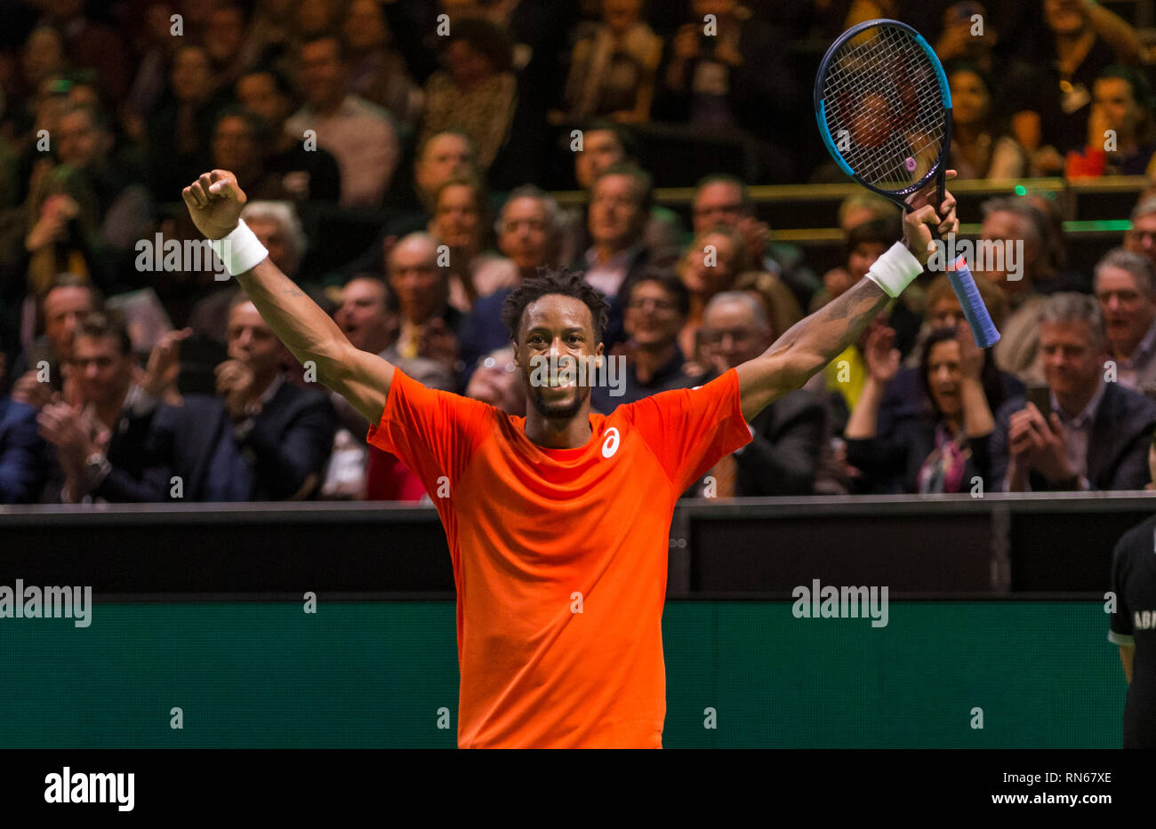 Rotterdam, Pays-Bas. Feb 17, 2019. ABNAMRO World Tennis Tournament, Ahoy, Final, GAEL MONFILS (FRA), Crédit : Henk Koster/Alamy Live News Banque D'Images