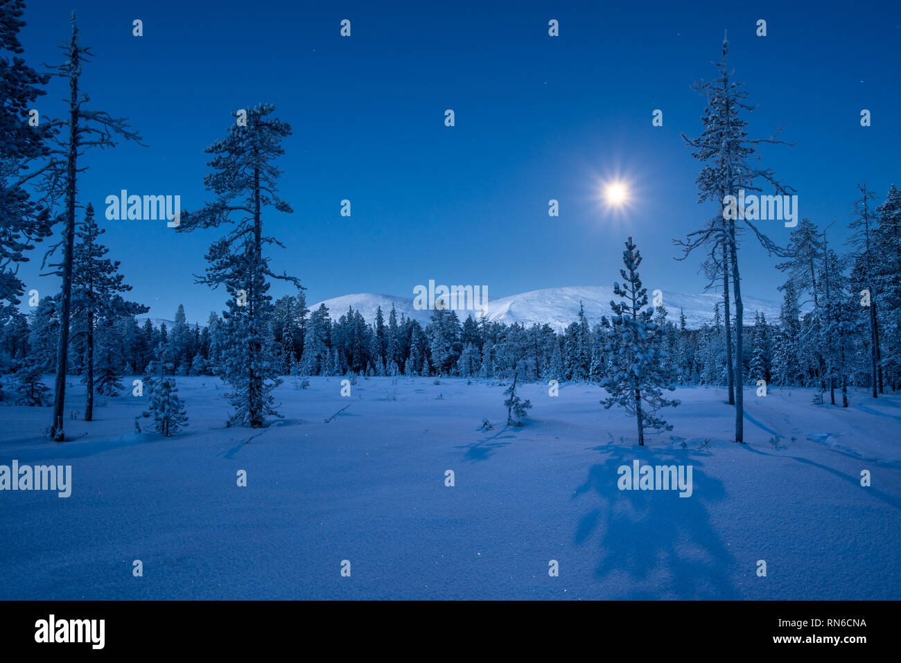 Pallas montagnes à lune avec de longues ombres des sapins et de la neige fraîche dans le Parc National de Pallas-Ylläs Tunturi à Muonio, Finlande Banque D'Images