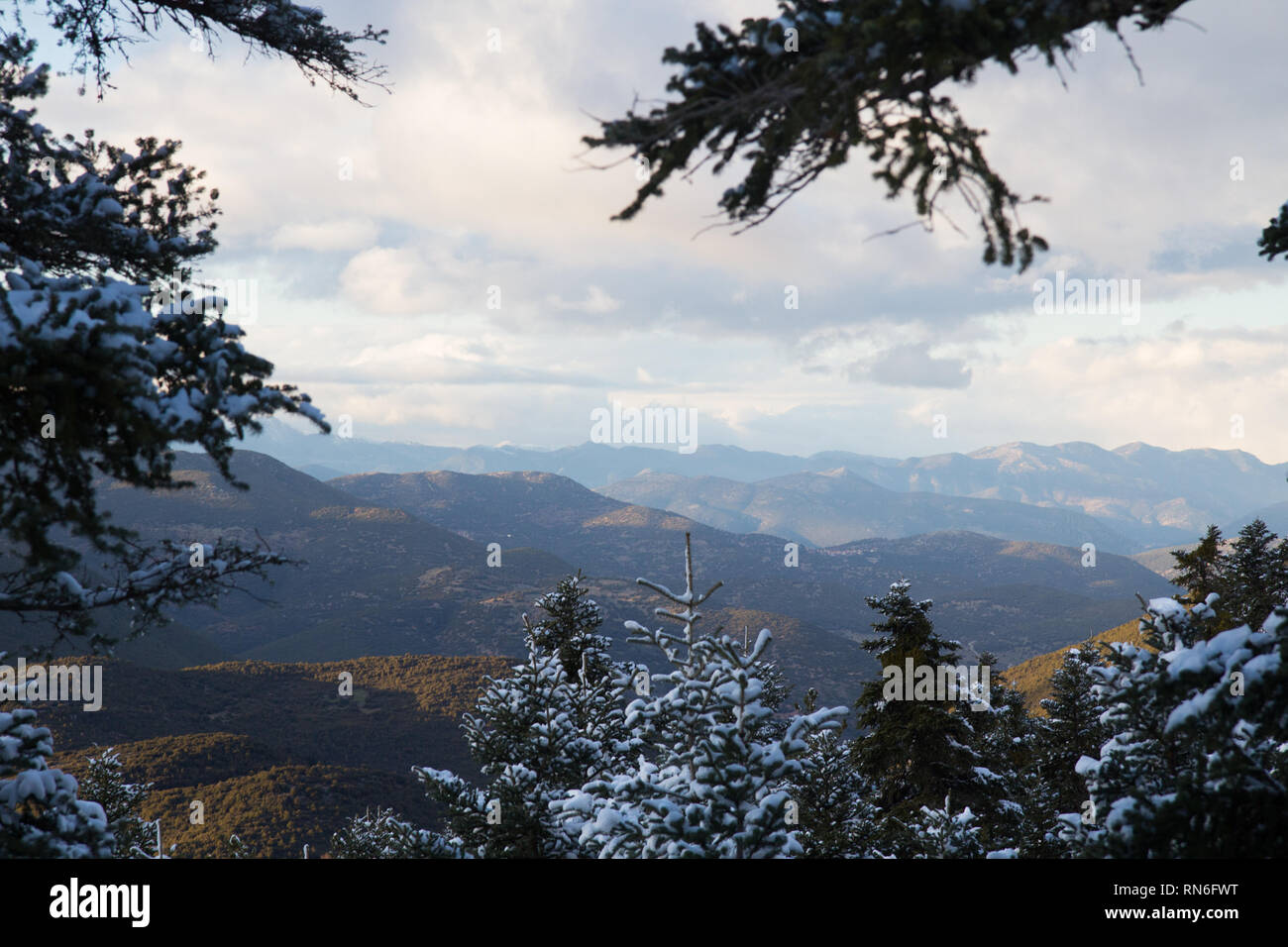 Paysage montagneux en Grèce pendant la saison d'hiver, avec les nuages et rayons de soleil les pics d'éclairage. Un cadre de sapins enneigés est au premier plan. Banque D'Images