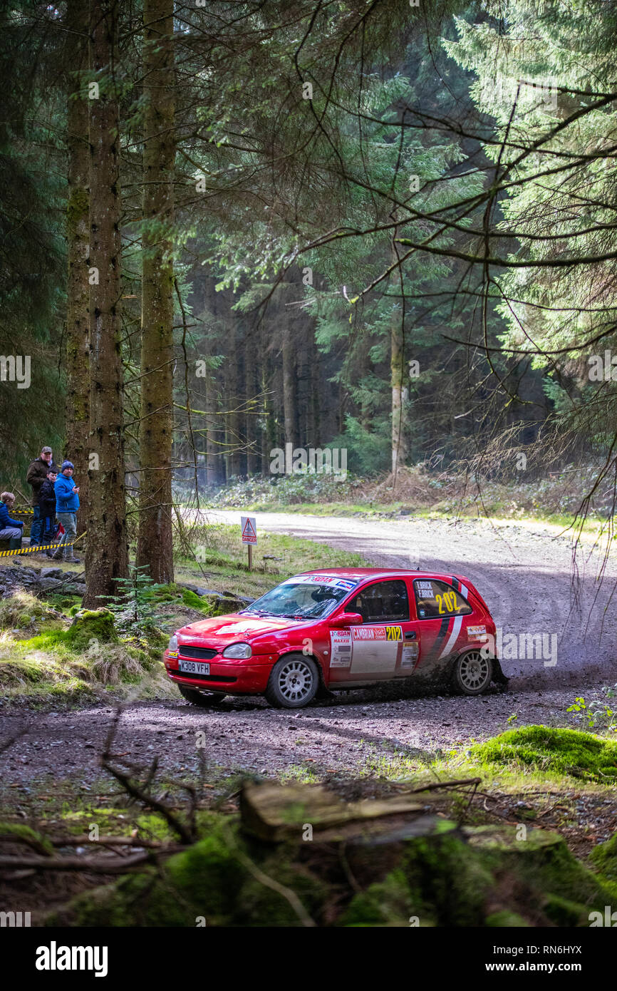 Voiture rallye concurrence dans le Cambrien, 2019 Rallye en forêt Alwen, au nord du Pays de Galles Banque D'Images