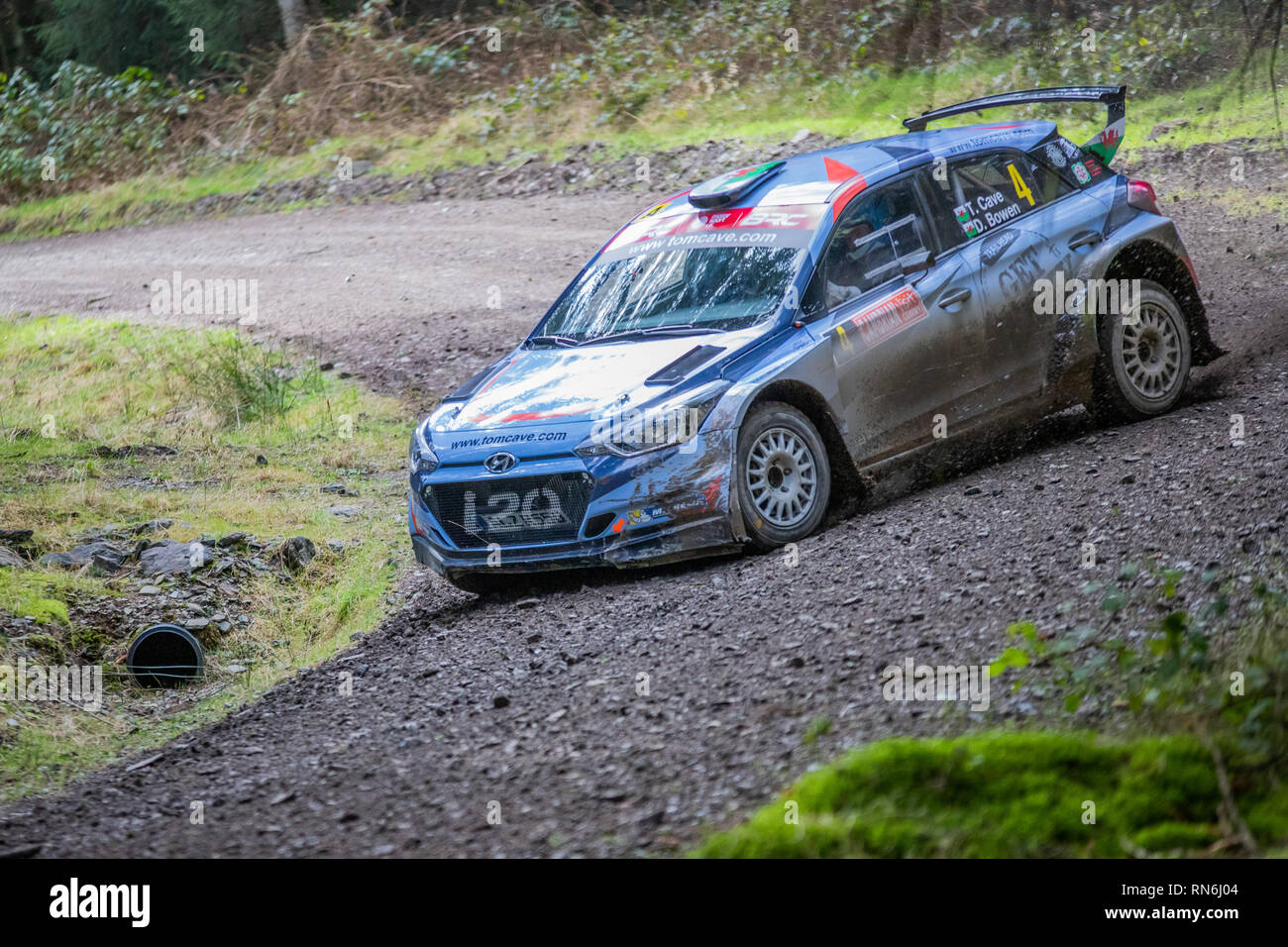 Voiture rallye concurrence dans le Cambrien, 2019 Rallye en forêt Alwen, au nord du Pays de Galles Banque D'Images