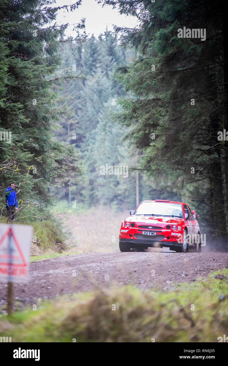 Voiture rallye concurrence dans le Cambrien, 2019 Rallye en forêt Alwen, au nord du Pays de Galles Banque D'Images