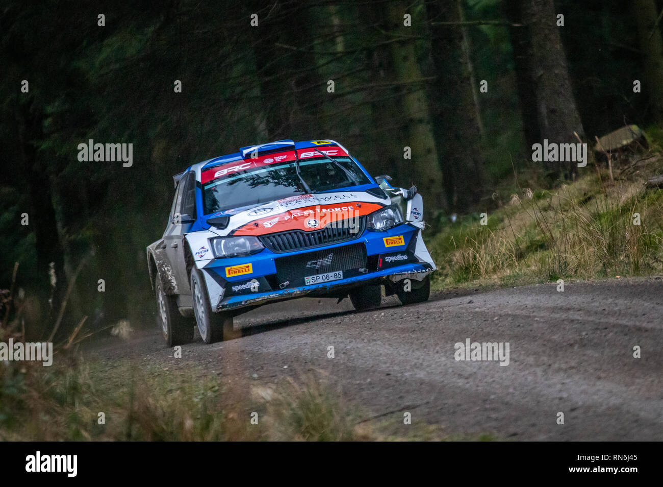 Voiture rallye concurrence dans le Cambrien, 2019 Rallye en forêt Alwen, au nord du Pays de Galles Banque D'Images