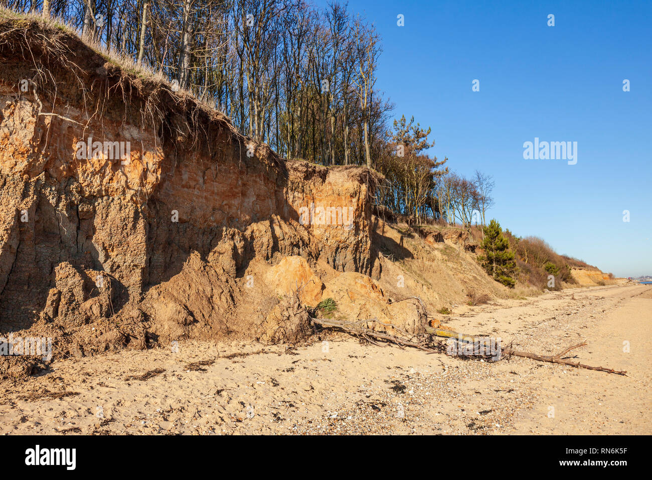 Falaises en ruine à Cudmore Grove Country Park, East Mersea, Essex. Banque D'Images
