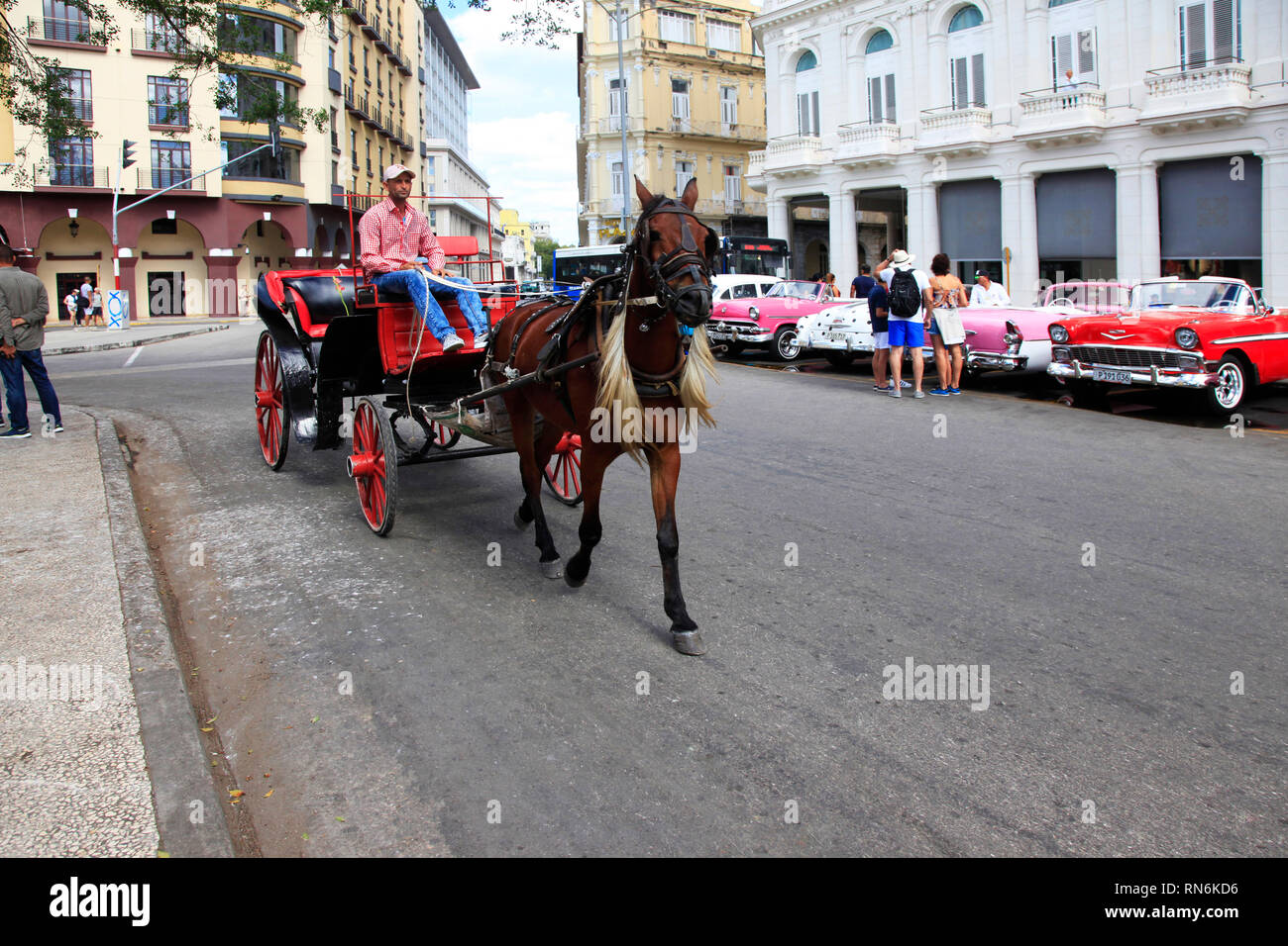 La Havane, Cuba - 10 janvier 2019 : l'homme cubain est un cheval et un chariot dans les rues de La Havane. Cuba Banque D'Images