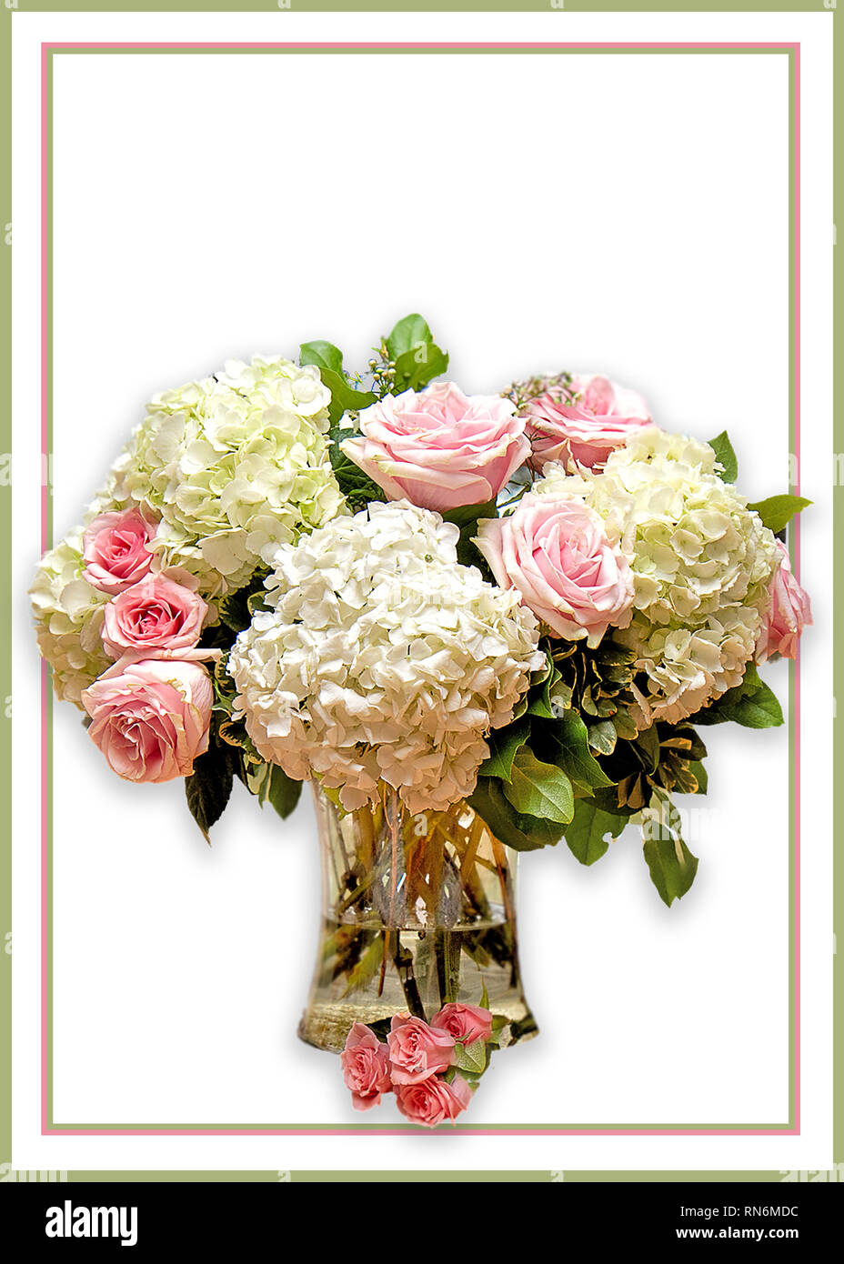 Grand Beau bouquet d'hortensias et roses roses dans la maison. Certaines images isolé sur fond blanc Banque D'Images