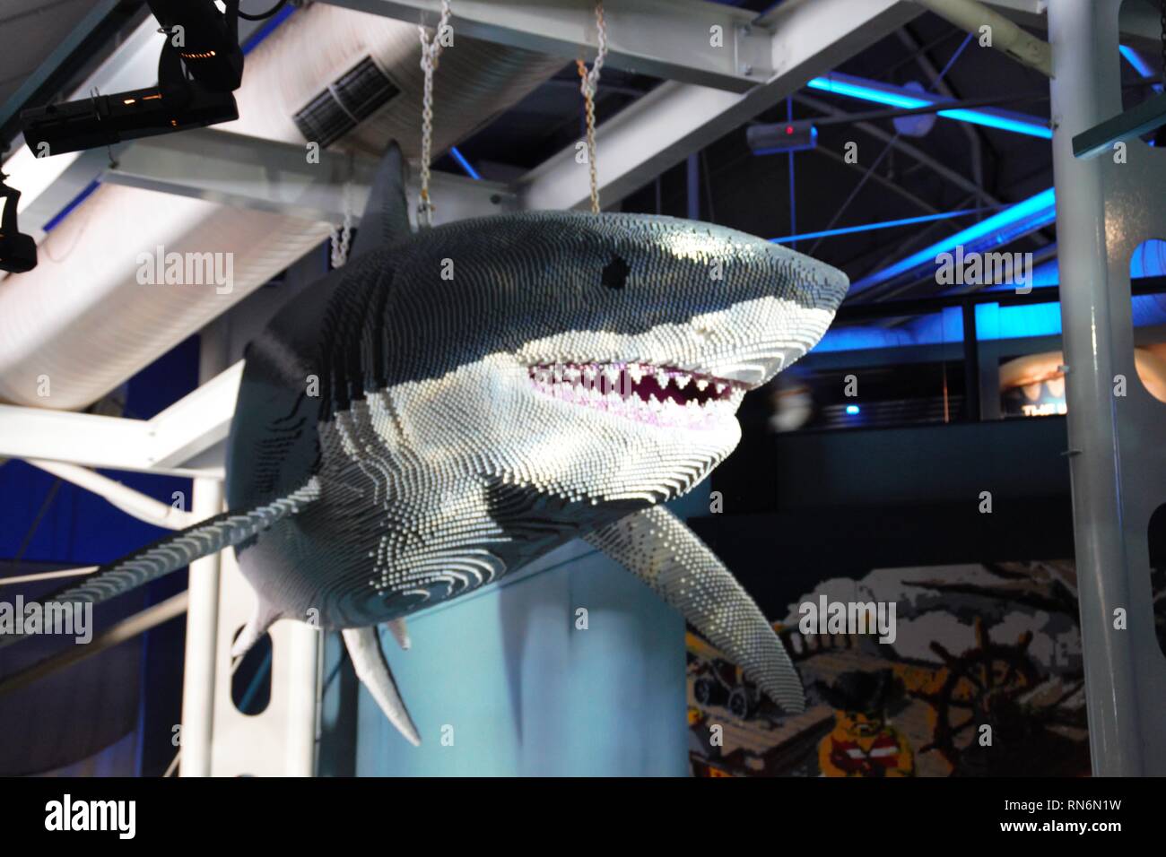 Attaque de requin à Sydney Banque D'Images