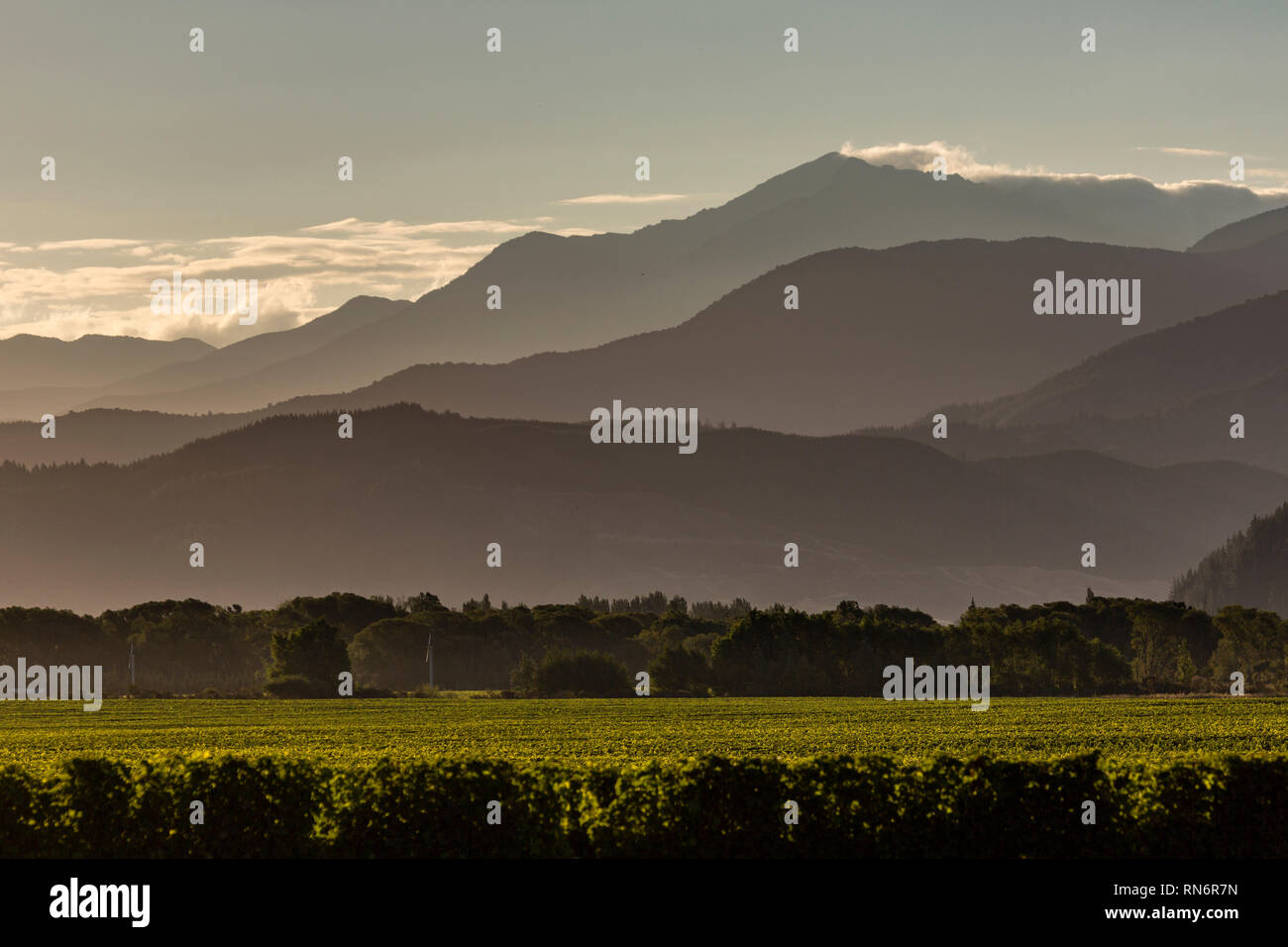 Le long de la route de l'île du Sud, Foggy Mountain View en Nouvelle Zélande Banque D'Images