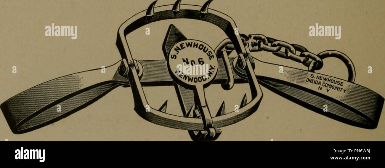 . Andersch bros. les chasseurs et trappeurs illustrant les animaux à fourrure d'Amérique du Nord les skins de qui ont une valeur marchande. La chasse ; le piégeage. [From old catalog] ; les lois du jeu. N° 5. NEWHOUSE piège d'acier. Ce piège a jaws diffusion 11  % pouces à part, et avec une courte chaîne •pèse 19 livres. C'est expressément faite pour le noir et l'ours brun. Le piège est meublé avec une courte liaison pivot, et grand anneau, tous suffisamment forte pour retenir le monstre, surtout lorsque ses dents d'acier tranchant sont im- pregnated dans la peau ou d'os de son pied ou de la jambe.. N° 6. NEWHOUSE OURS ACIER TRA Banque D'Images