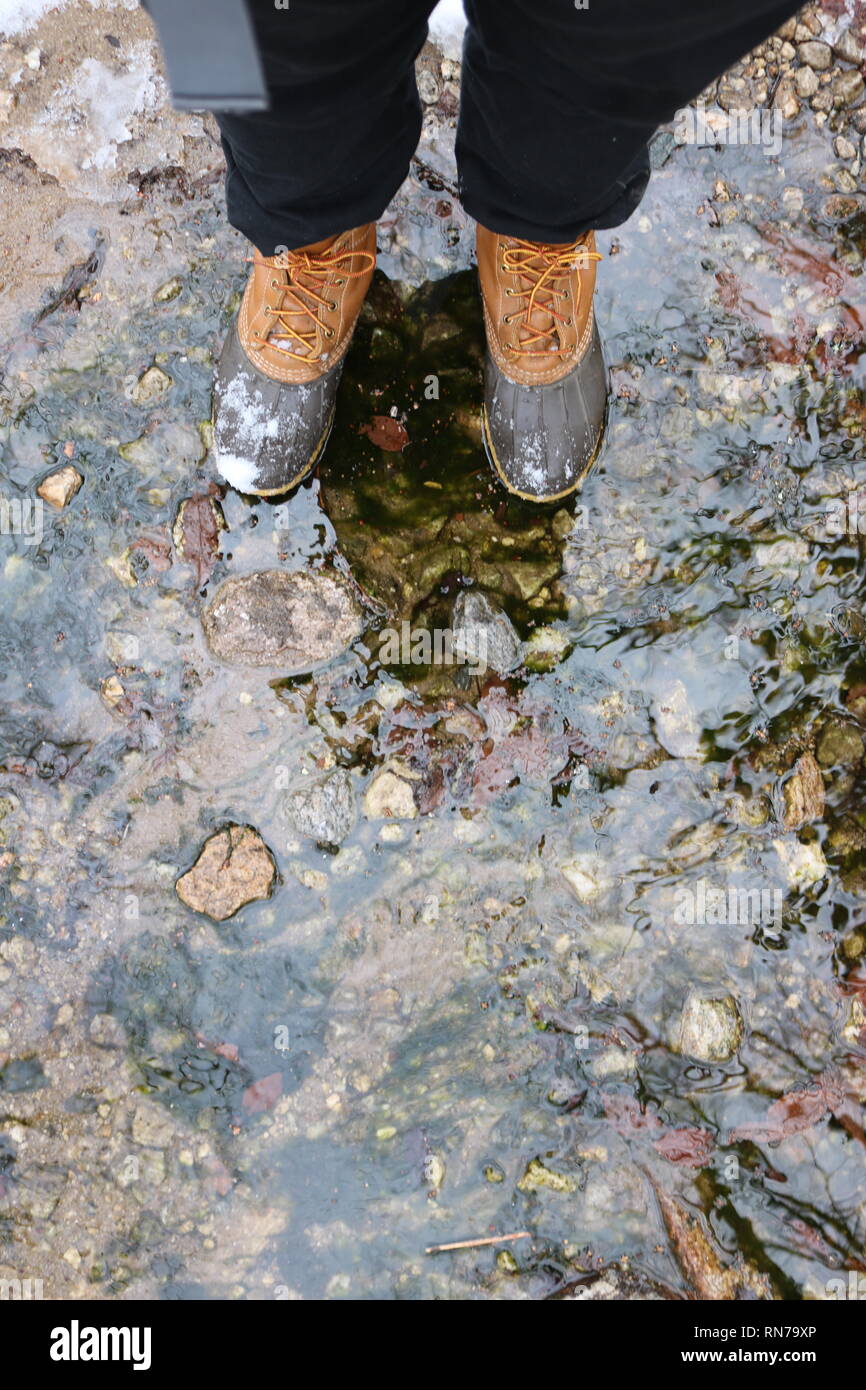 Comité permanent avec des bottes de haricots dans un ruisseau de montagne enneigée Banque D'Images