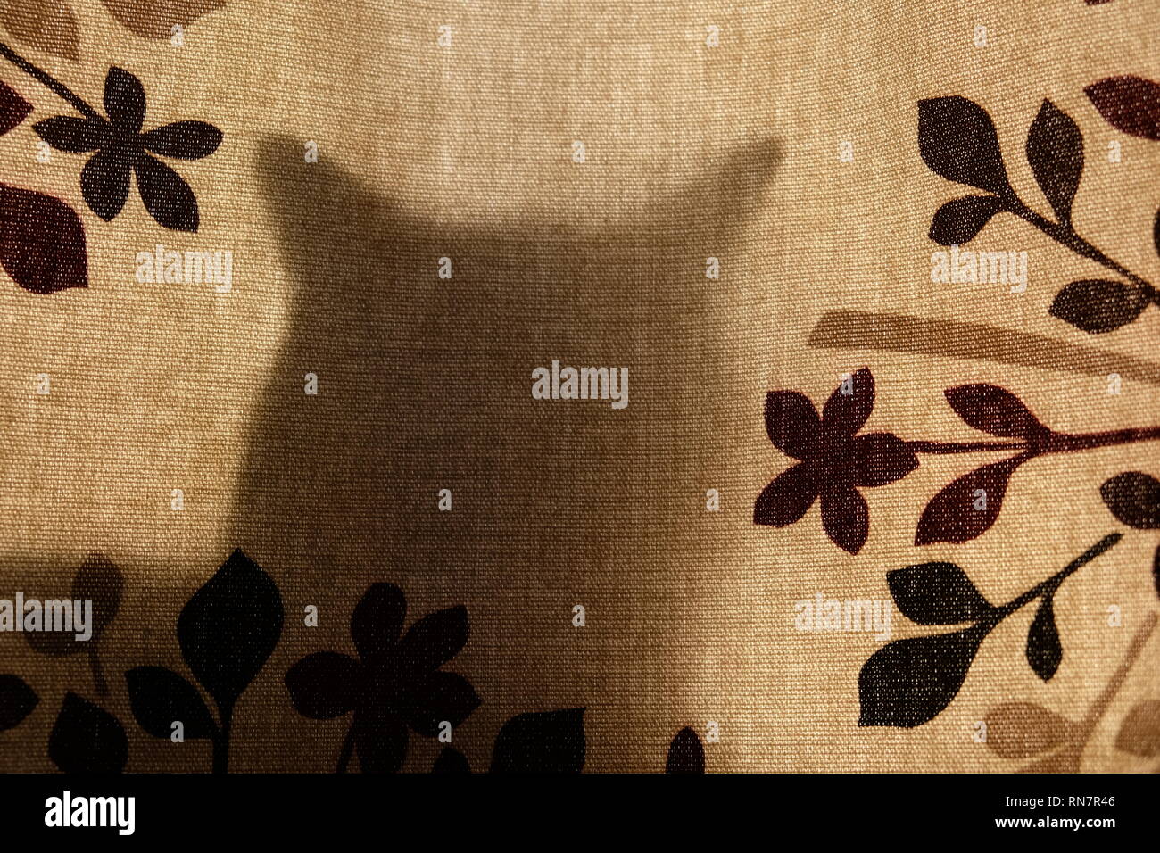 La silhouette de chat Banque D'Images