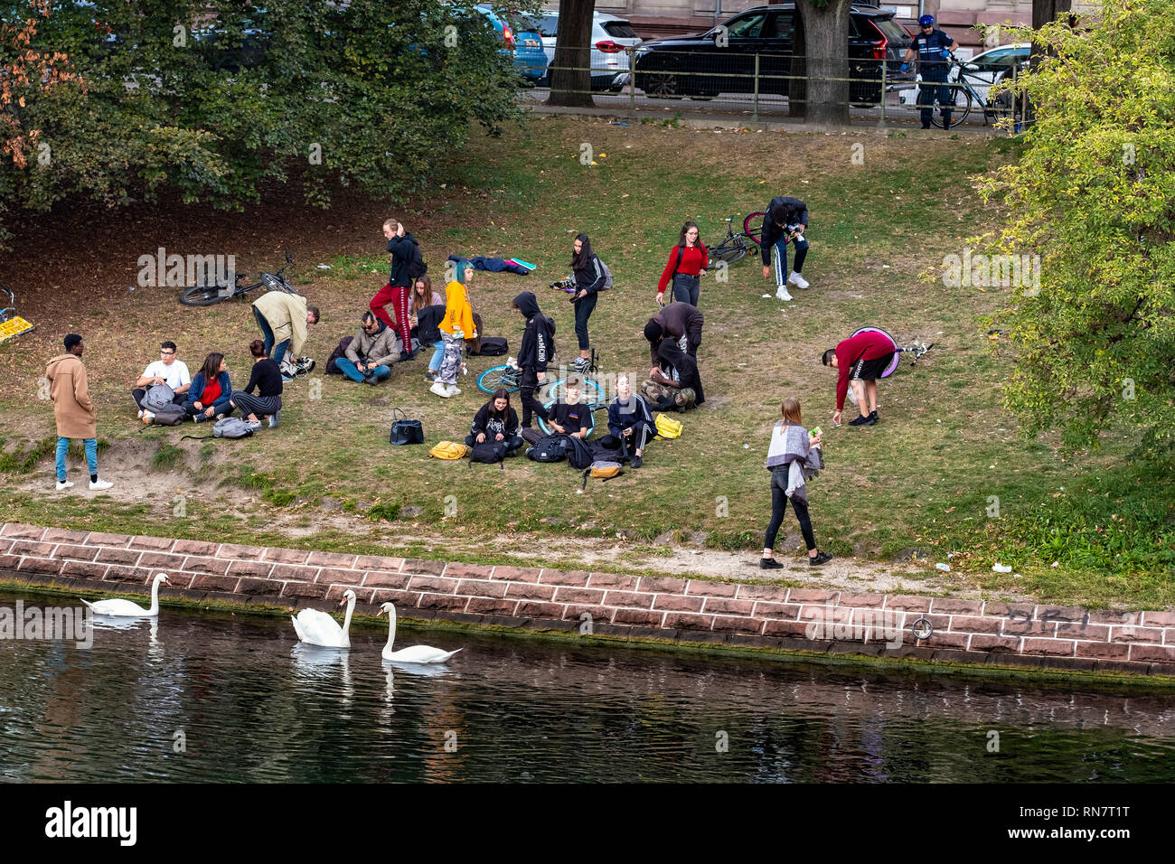 Strasbourg, Alsace, France, Europe, jeunes qui traînaient sur les berges, cygnes blancs, Banque D'Images