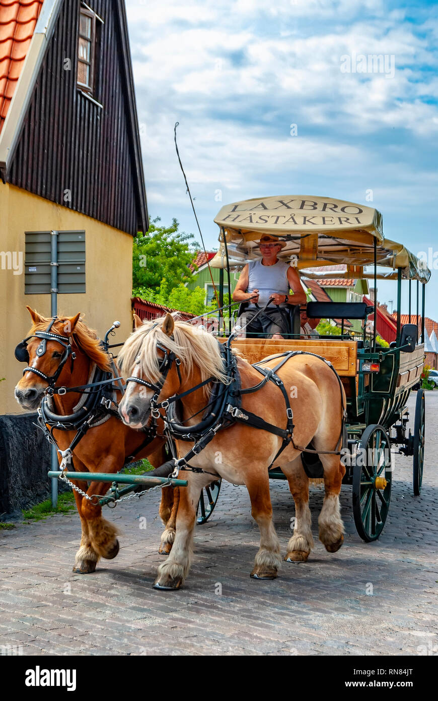 L'AHUS, Suède - le 22 juillet 2009 : un guide emmène les touristes autour de la ville de l'Ahus du chariot à cheval. Banque D'Images