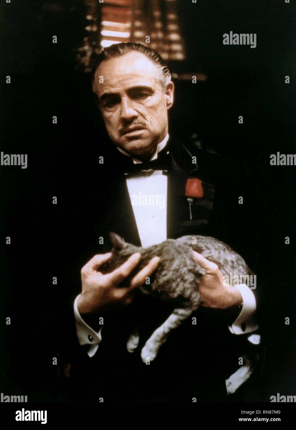 Marlon Brando Godfather Banque d'image et photos - Alamy
