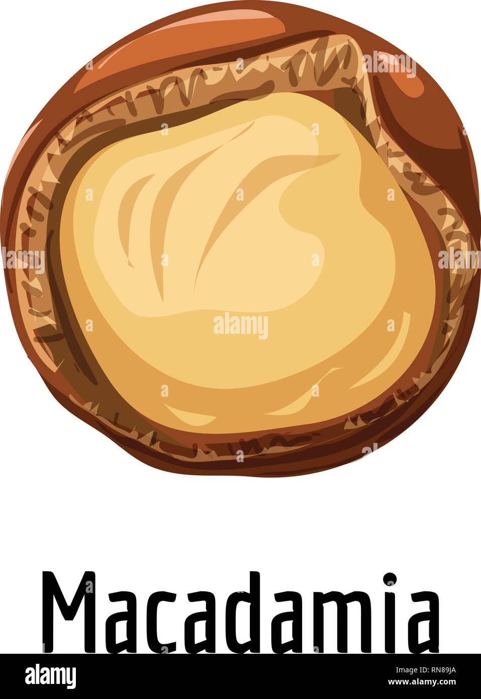 L'icône de Macadamia. Caricature de l'icône vecteur macadamia pour la conception web isolé sur fond blanc Illustration de Vecteur