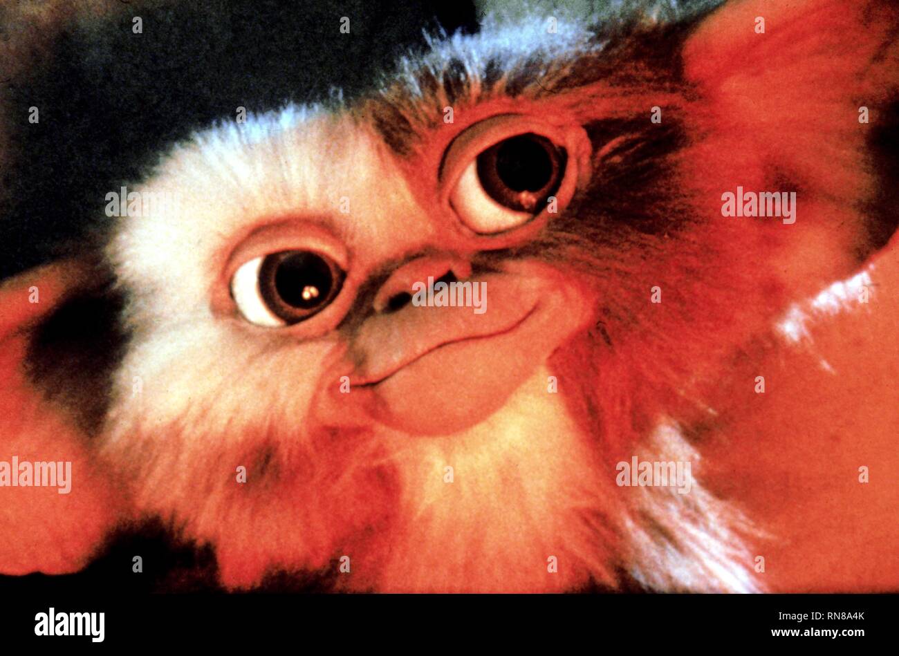 GIZMO, GREMLINS, 1984 Banque D'Images