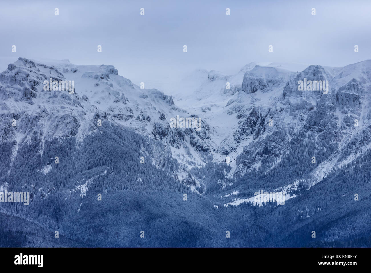 Paysage de montagne en hiver. Les montagnes de Bucegi en Roumanie Banque D'Images