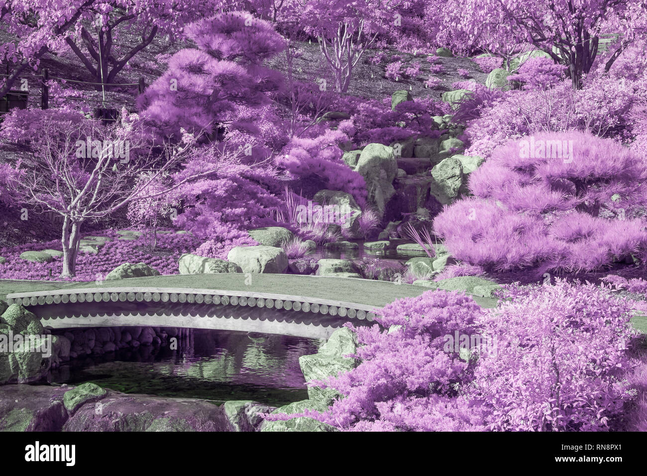 Jardin paisible et pont en infrarouge couleur. Banque D'Images