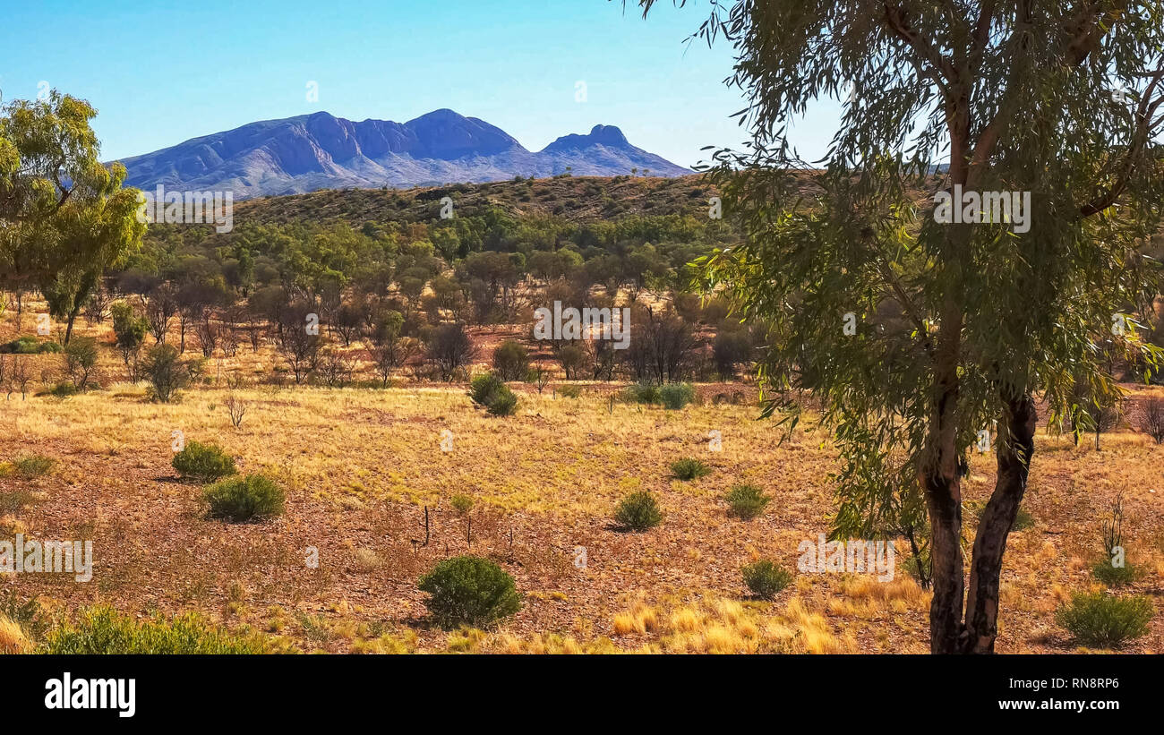 Un matin tourné du mont sonder et de gommiers dans le nt Banque D'Images