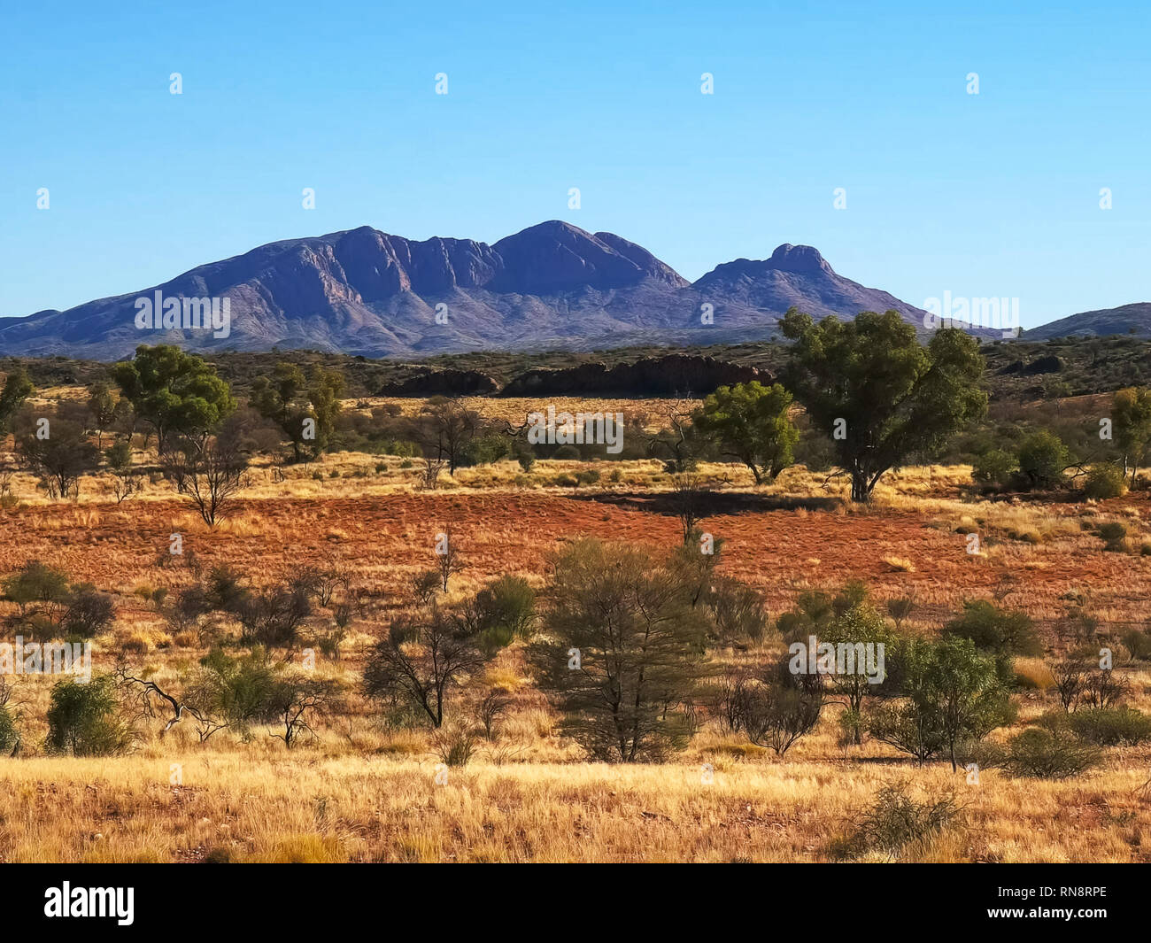 Fermer coup de mont sonder dans le West macdonnell ranges Banque D'Images