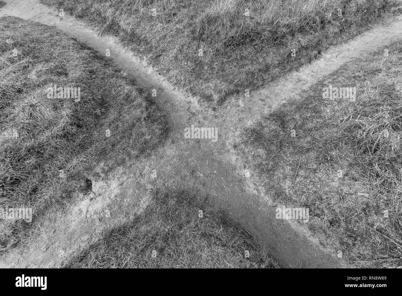 Passage de sentiers. Pour les choix de carrière, les choix de vie, la vie à travers les routes, le changement de direction, le changement de cheminement de carrière, le chemin multiple, ce qui se trouve à venir. Banque D'Images