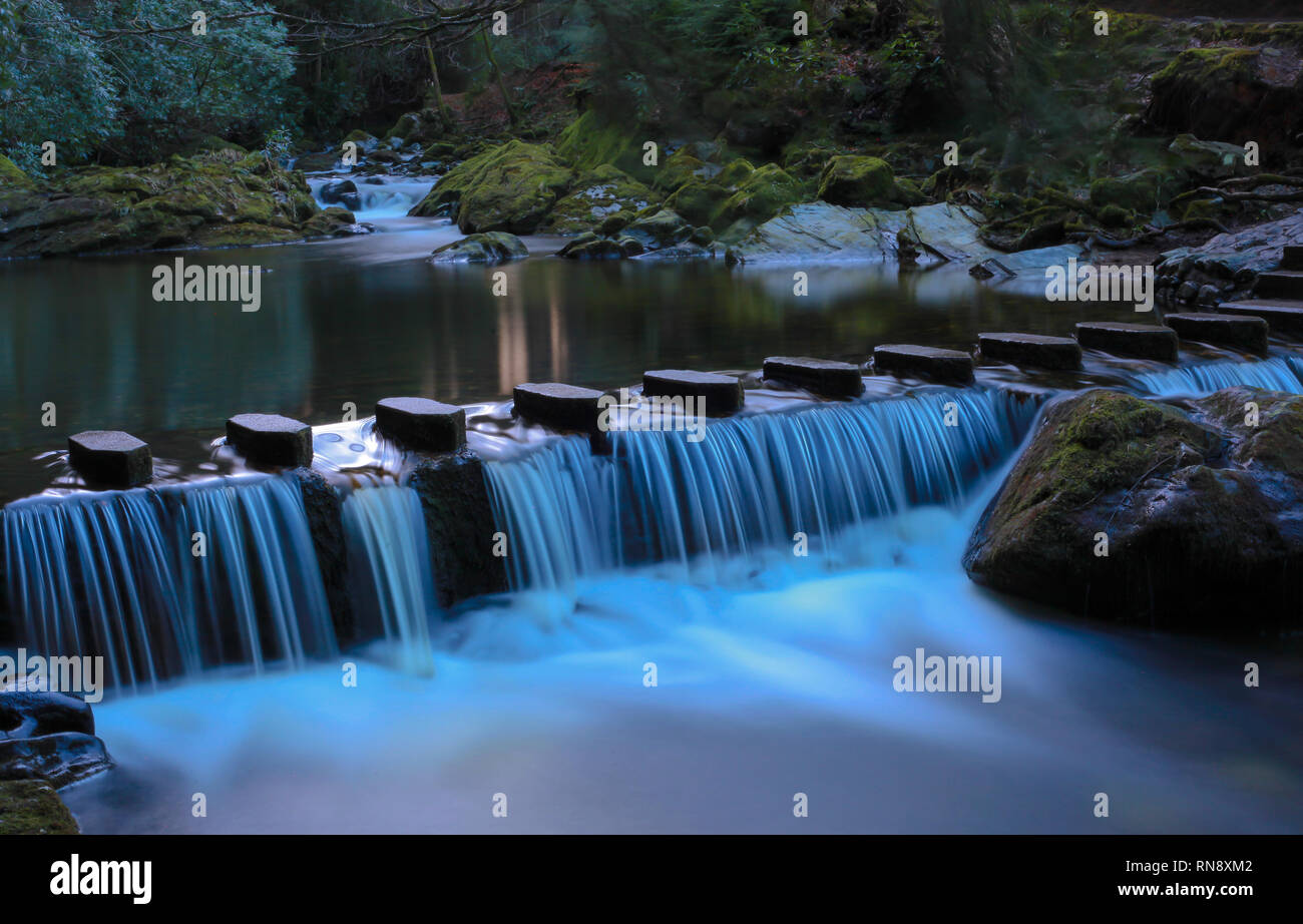 Tollymore Forest Park, Newcastle, Co Down, Irlande du Nord Banque D'Images