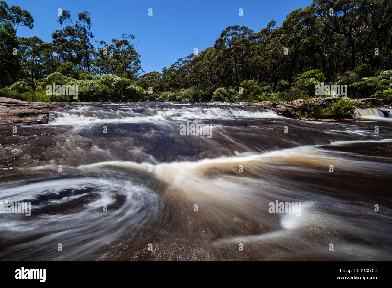 Belle place sur le Carrington Falls dans le Parc National de Budderoo, NSW, Australie Banque D'Images