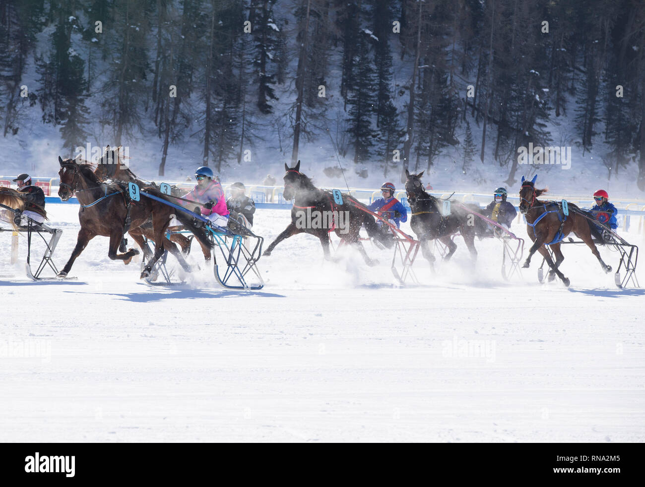 Saint-Moritz, Suisse. Feb 17, 2019. Cavaliers en compétition sur le lac gelé sur le 3ème week-end de la White Turf courses à Saint-Moritz, Suisse, le 17 février 2019. Credit : Xu Jinquan/Xinhua/Alamy Live News Banque D'Images