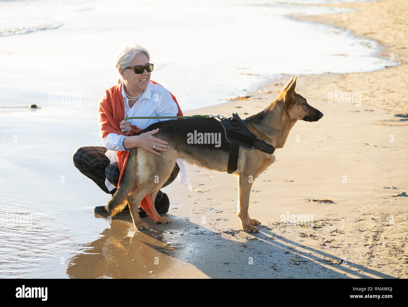 Belle veuve vieille femme jouant avec son chien shepard allemand bénéficiant de son compagnon et de l'amour sur la plage au coucher du soleil dans les avantages de garder les animaux à acti Banque D'Images